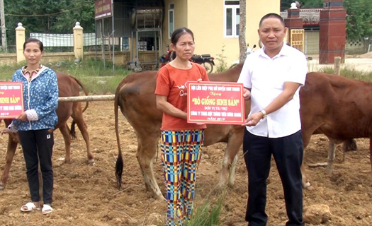 Như Thanh, Thanh Hóa: Thoát nghèo trên vùng đất khó